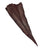 NCROC.Cognac.Hornback.01.jpg Nile Crocodile Tails Image