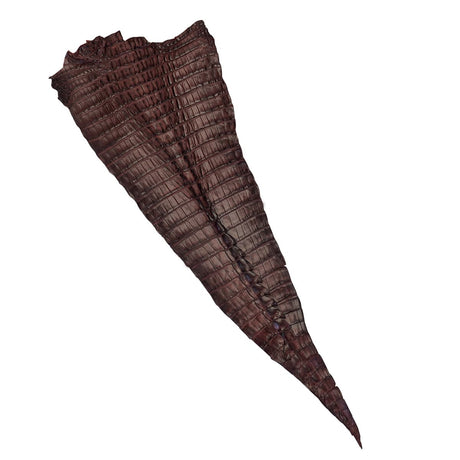 NCROC.Cognac.Hornback.01.jpg Nile Crocodile Tails Image