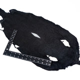 39-82009.SLC.3.jpg Large Black Stingray Image