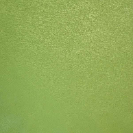 62-02.SLC.3.jpg Lightweight Biker-Chap Side - Avocado Image