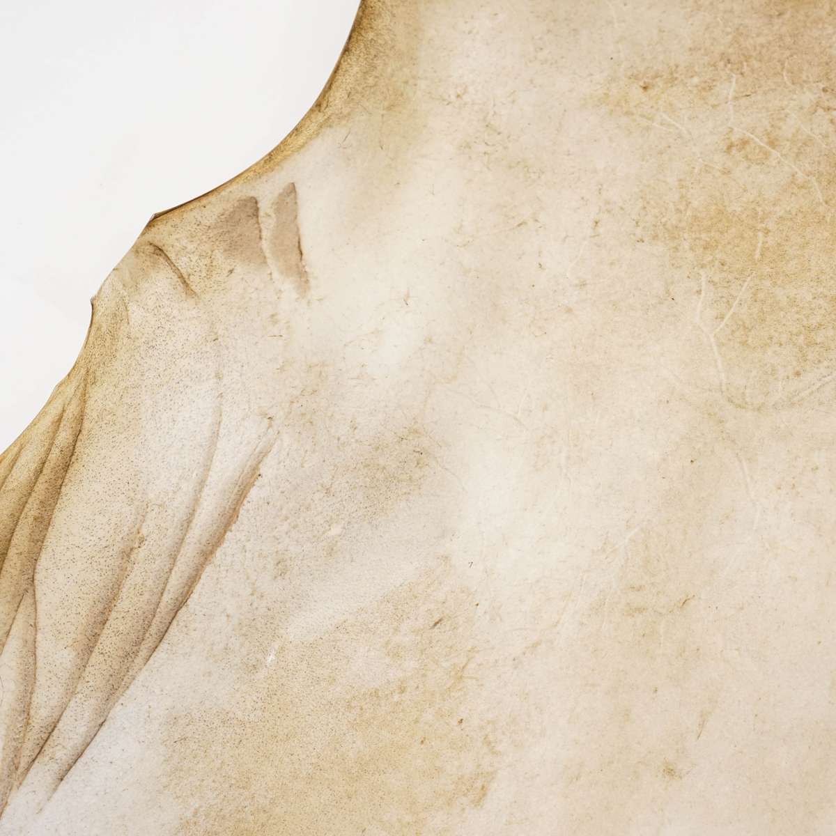 121-92101.SLC.3.jpg Goat Rawhide - Medium Image