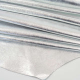 138-2007.SLC.2.jpg Silver Milled Metallic Side Image