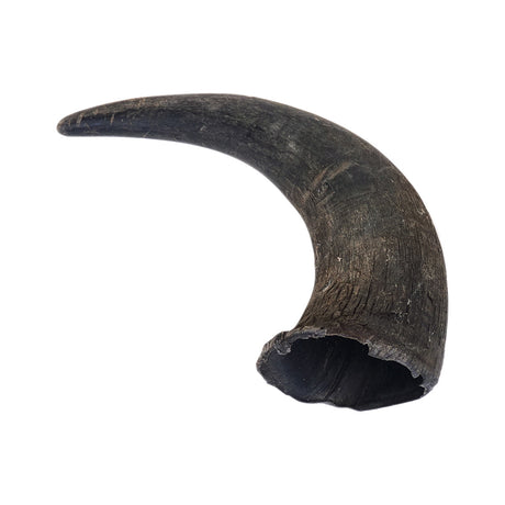 26-1001.SLC.05.jpg Buffalo Powder Horn Kit Image