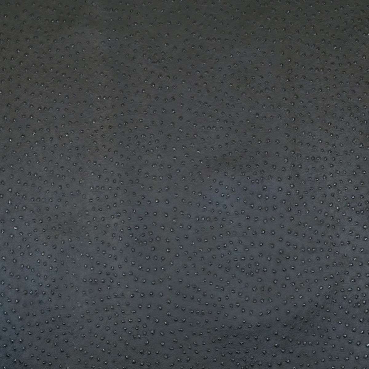 62-40.SLC.03.jpg Ostrich Print on Cow Sides - Black Image
