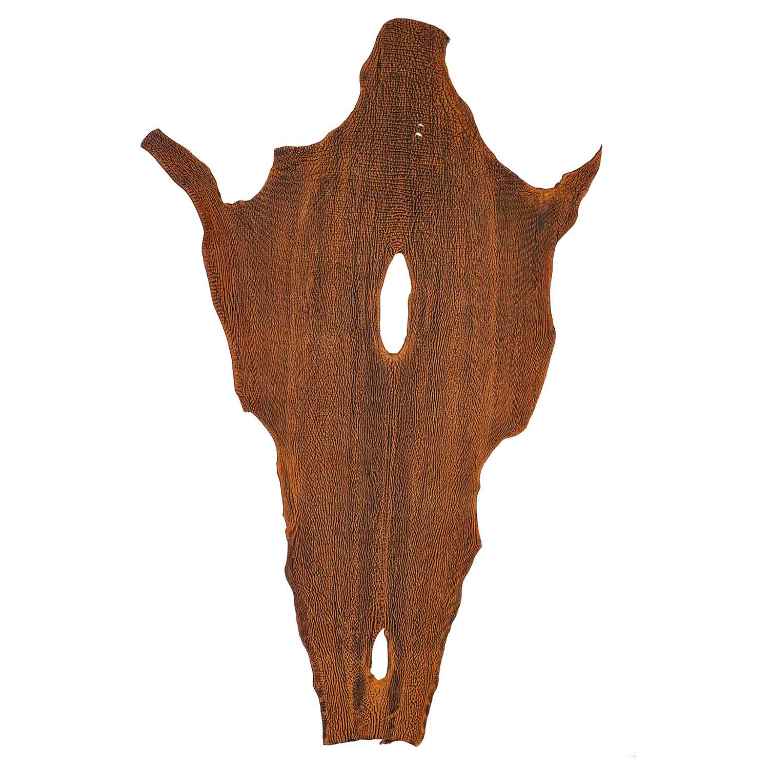 Safari Sharkskins | Springfield Leather – Springfield Leather Co