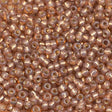 45-119641.SLC.1.jpg 11/0 Seed Beads - Bronze 24g Image
