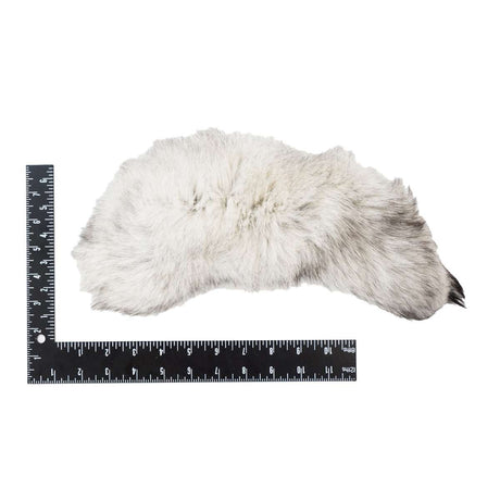 126-601.SLC.3.jpg Blue Fox Tail Image