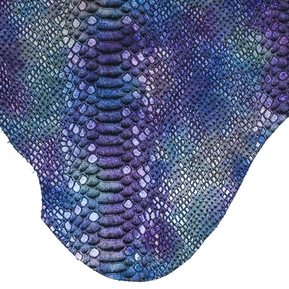 62-85505.SLC.3.jpg Mystic Python - Black/Purple & Blue Image