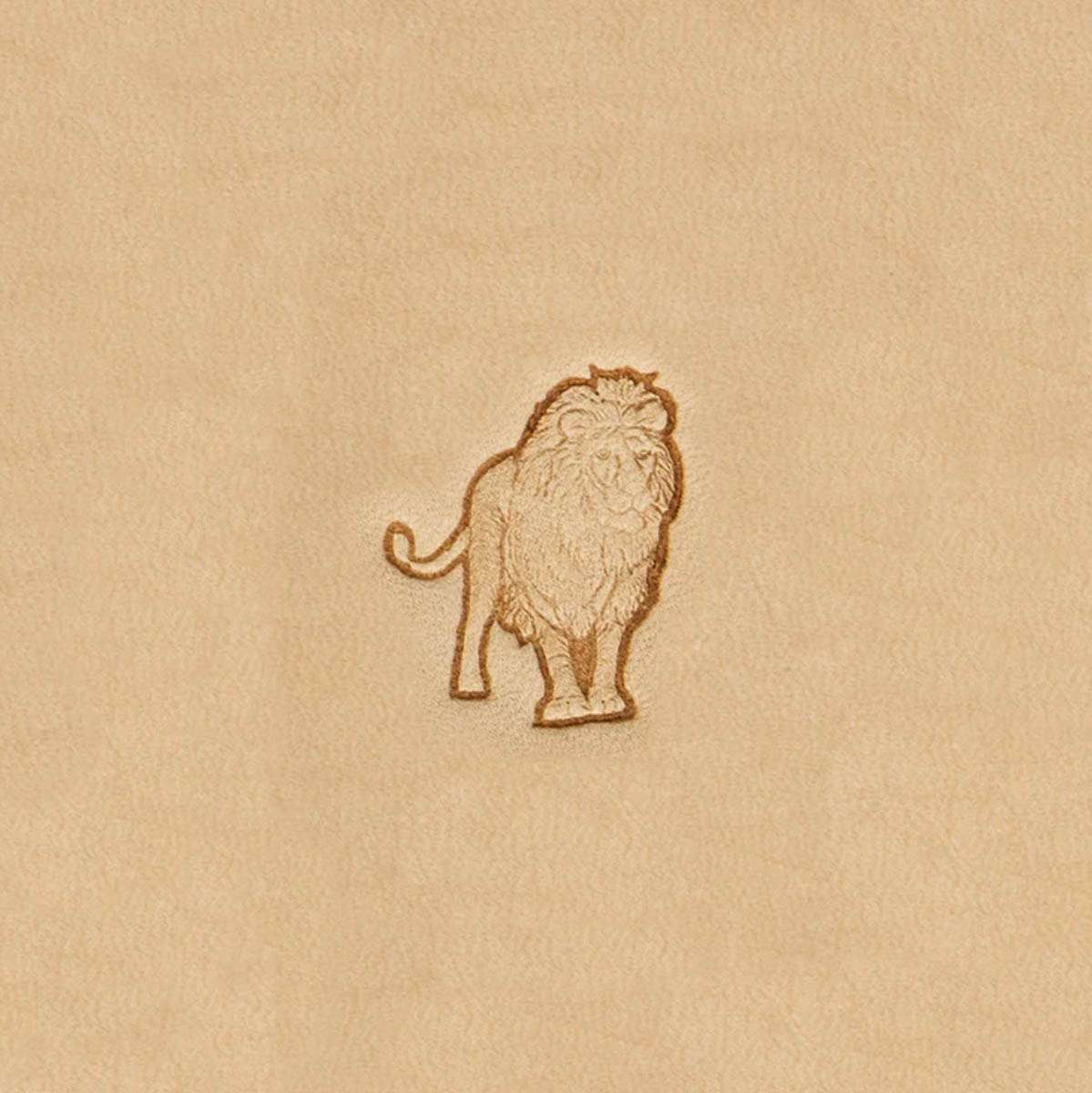 3DAA.Lion.01.jpg 3D African Animal Stamps Image