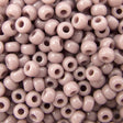 45-89410.SLC.jpg 8/0 Seed Beads - Opaque Mauve 22g Image