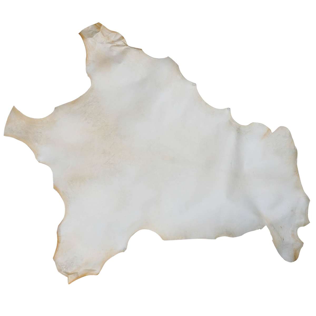 189-01.SLC.01.jpg Bleached Rawhide Kangaroo Skins Image