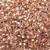 Seed Beads 10/0 Crystal Copper Lined - 20g