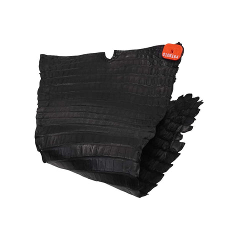 NCROC.Black.Belly.01.jpg Nile Crocodile Tails Image