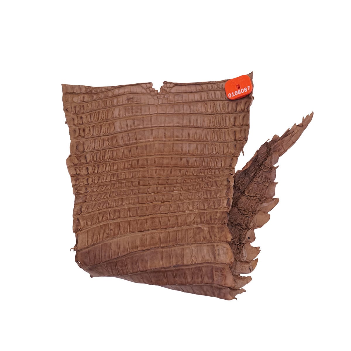 NCROC.Vintage Tan.Belly.01.jpg Nile Crocodile Tails Image