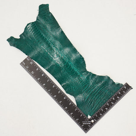 63-30504.SLC.3.jpg Ostrich Leg - Brilliant Green Image