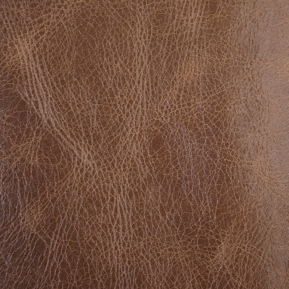 VENUP.Milk Chocolate.02.jpg Venetian Upholstery Hide Image