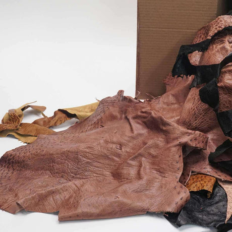 61-101.SLC.02.jpg 25lb Ostrich Remnant Box Image