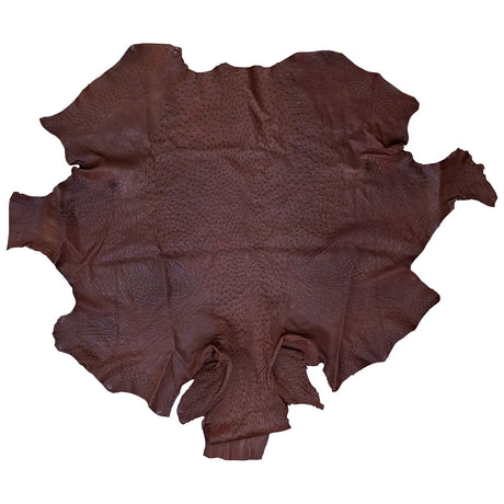OSTH.Kango Tobac.01.jpg Ostrich Hides Image