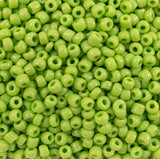 222-144011.SLC.jpg 10/0 Seed Beads - Light Green Glass 20g Image