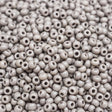 229-1049.SLC.1.jpg Seed Beads 10/0 Grey Glass - 110g Image