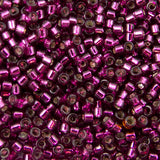 Delica Bead - Silver Lined Raspberry DB1342