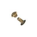 Antique Brass Hammered Single Cap Rivets