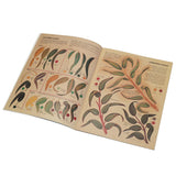 592-2.SLC.02.jpg Australian Leather Carving Image