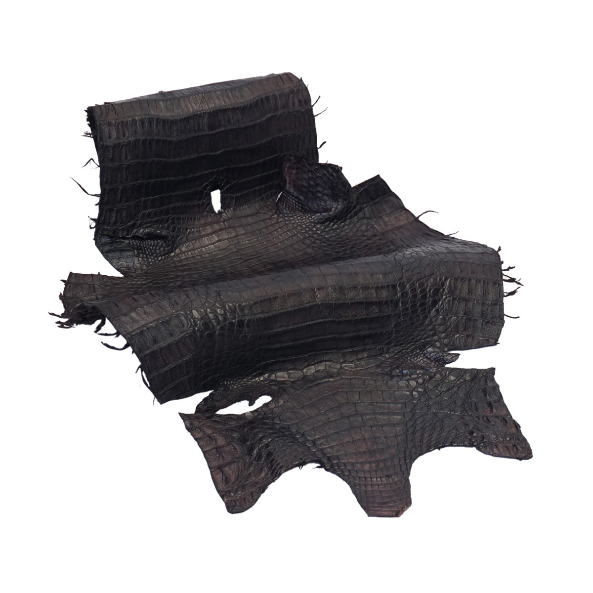 BCCS.Small.02.jpg Belly Cut Caiman Skins Image