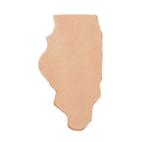 SHPILL.SLC.1.jpg State Shape - Illinois Image