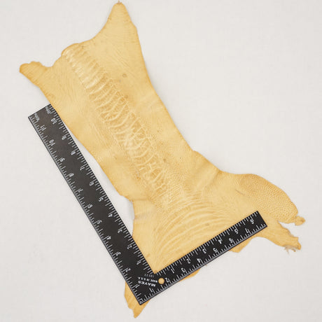 63-30517.SLC.3.jpg Ostrich Leg - Wheat Image