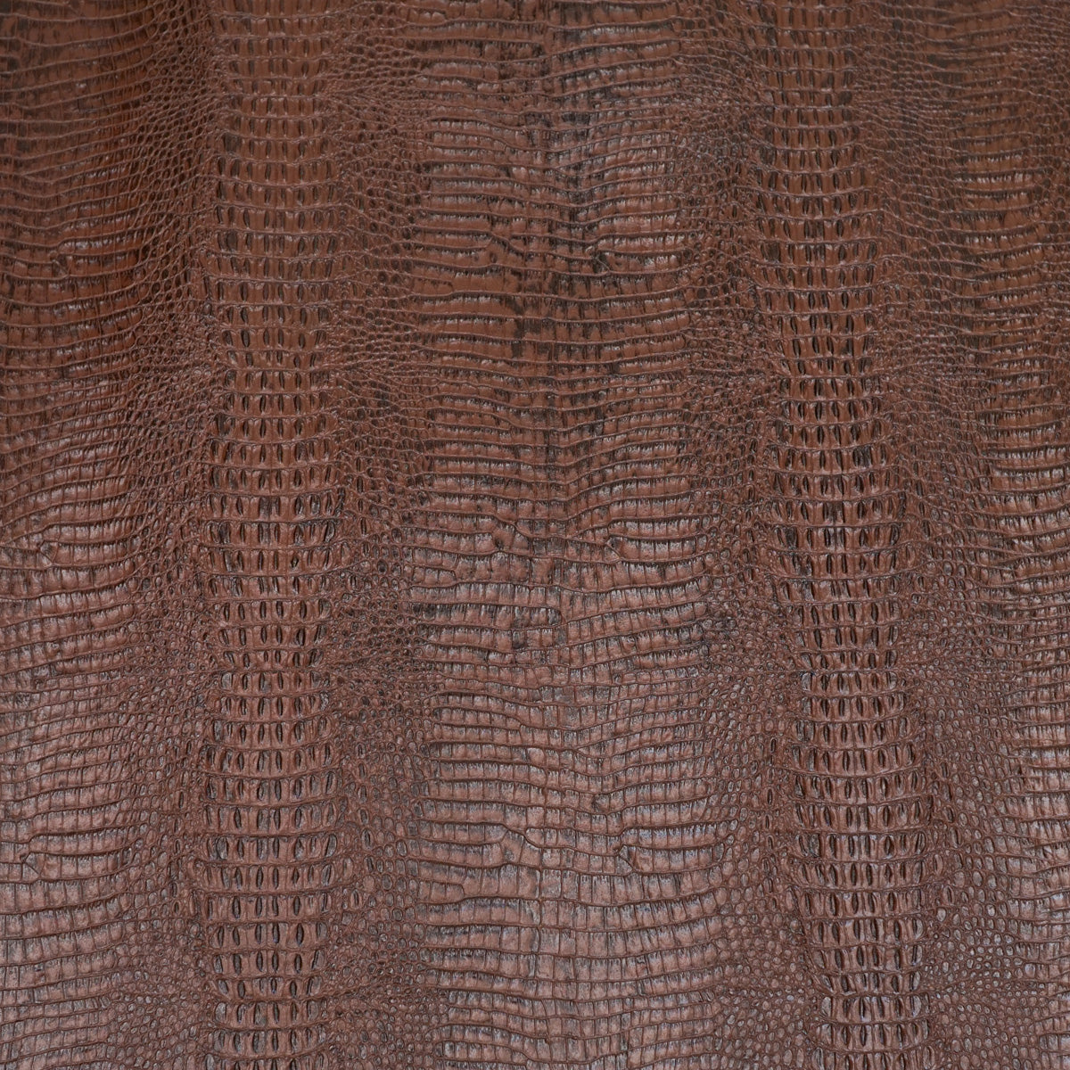 371-17902.SLC.3.jpg Embossed Gator on Cow - Brown Image