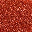 45-1594234.SLC.1.jpg 15/0 Seed Beads - Duracoat Silver Lined Watermelon 8.2g Image