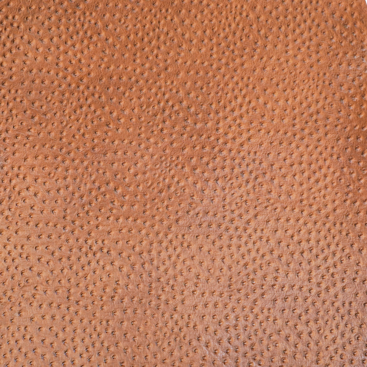 371-403.SLC.3.jpg Ostrich Print on Pig - Tan Image