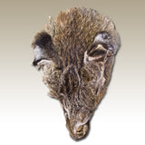 Lynx Face