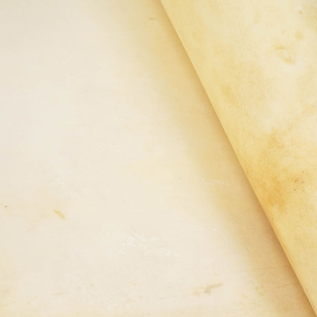 121-92103B.SLC.4.jpg Bleached Goat Rawhide - XL Image