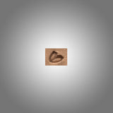 Stamping Tool - D442(B)