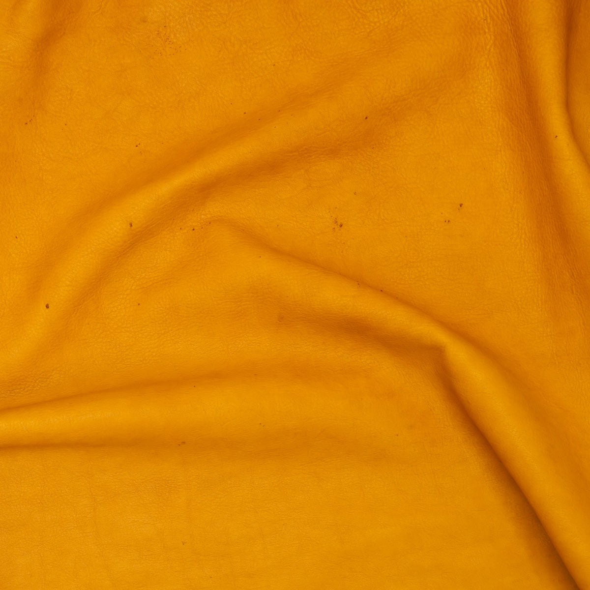 HOH.Honey.03.jpg Hermann Oak Heritage 1881 Image