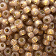 45-89641.SLC.jpg 8/0 Seed Beads - Dyed Silver Lined Rose Bronze 22g Image