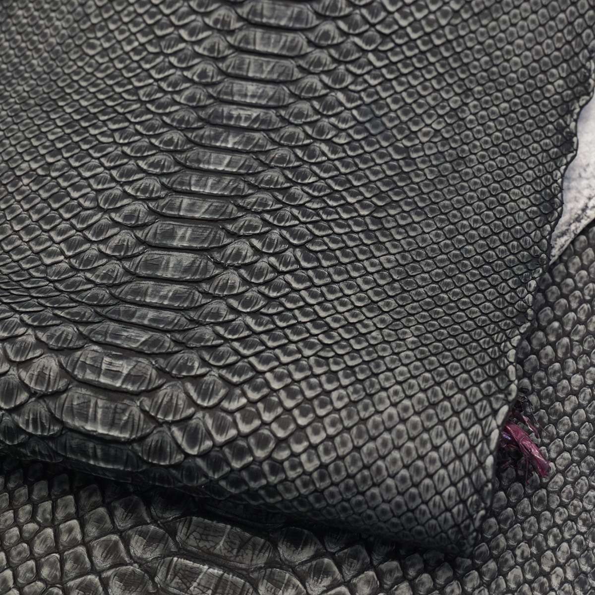 SPSKN.Antique Ivory.02.jpg Safari Python Skin Image