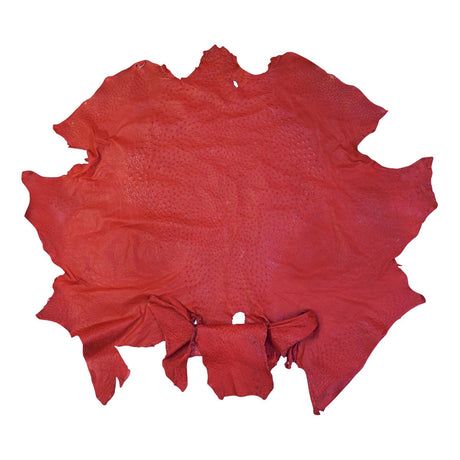 OSTH.Red.01.jpg Ostrich Hides Image