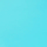 KDSKF.Robin's Egg Blue.03.jpg Shrut & Asch Kidskins Image