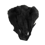 Black Fox Face