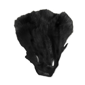 Black Fox Face