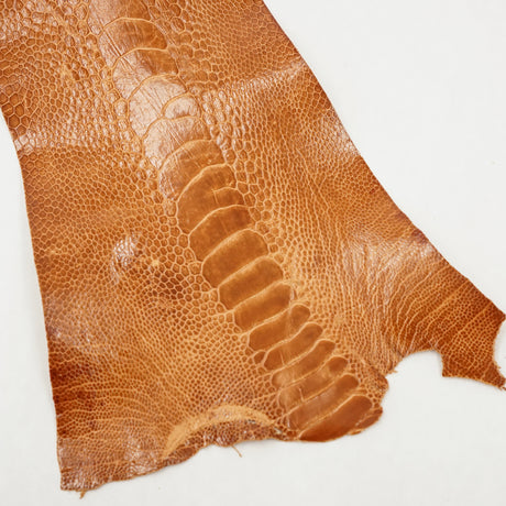 63-30506.SLC.1.jpg Ostrich Leg - Brandy Image