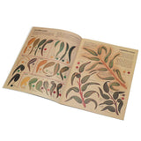 592-2.SLC.02.jpg Australian Leather Carving Image