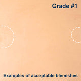 100-B.SLC.2.jpg Import Tooling Pre-Cut - 8.5" x 10" Image