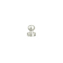 SB10.Nickel.5.5mm.01.jpg Solid Brass Button Studs - 10 Pack Image
