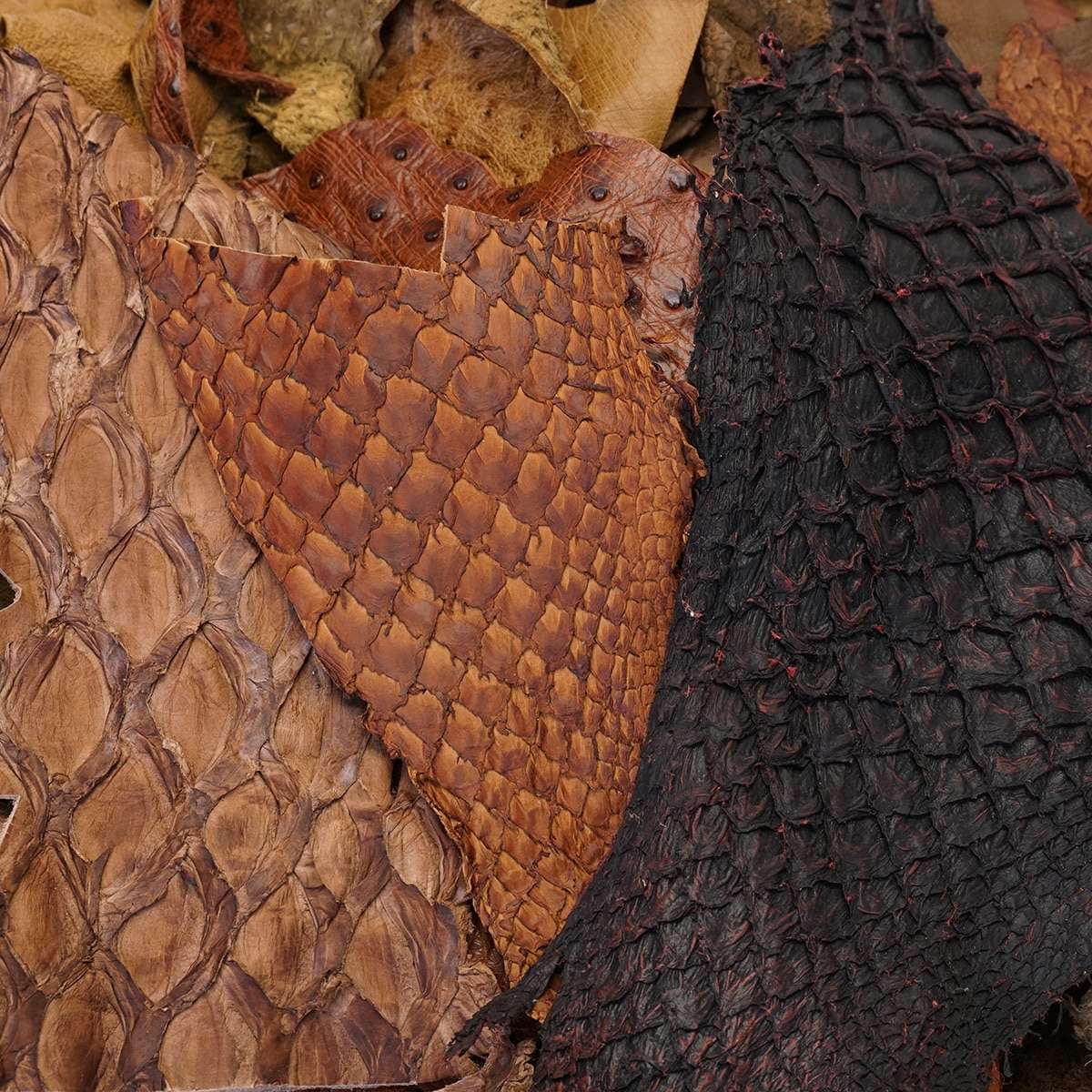 100-2080.SLC.05.jpg Fish Fur & Feathers Pieces Box Image