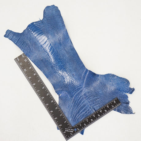 63-30509.SLC.3.jpg Ostrich Leg - Clemaris Image