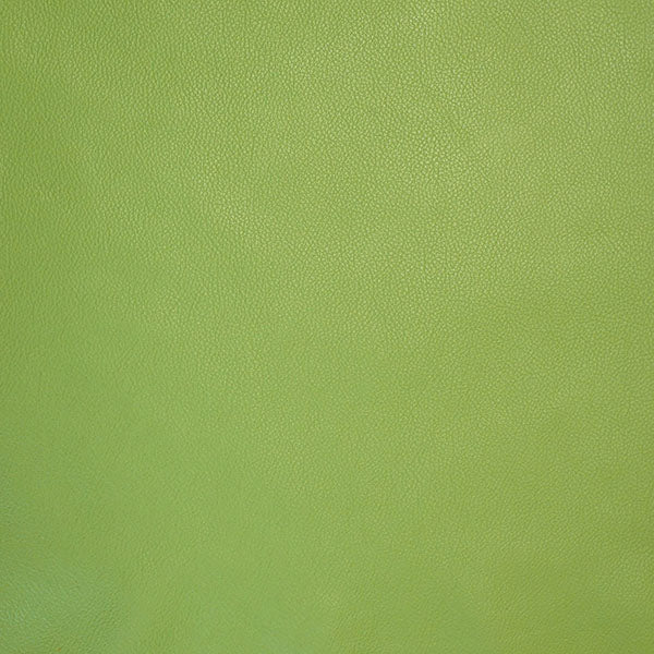 62-02.SLC.3.jpg Lightweight Biker-Chap Side - Avocado Image